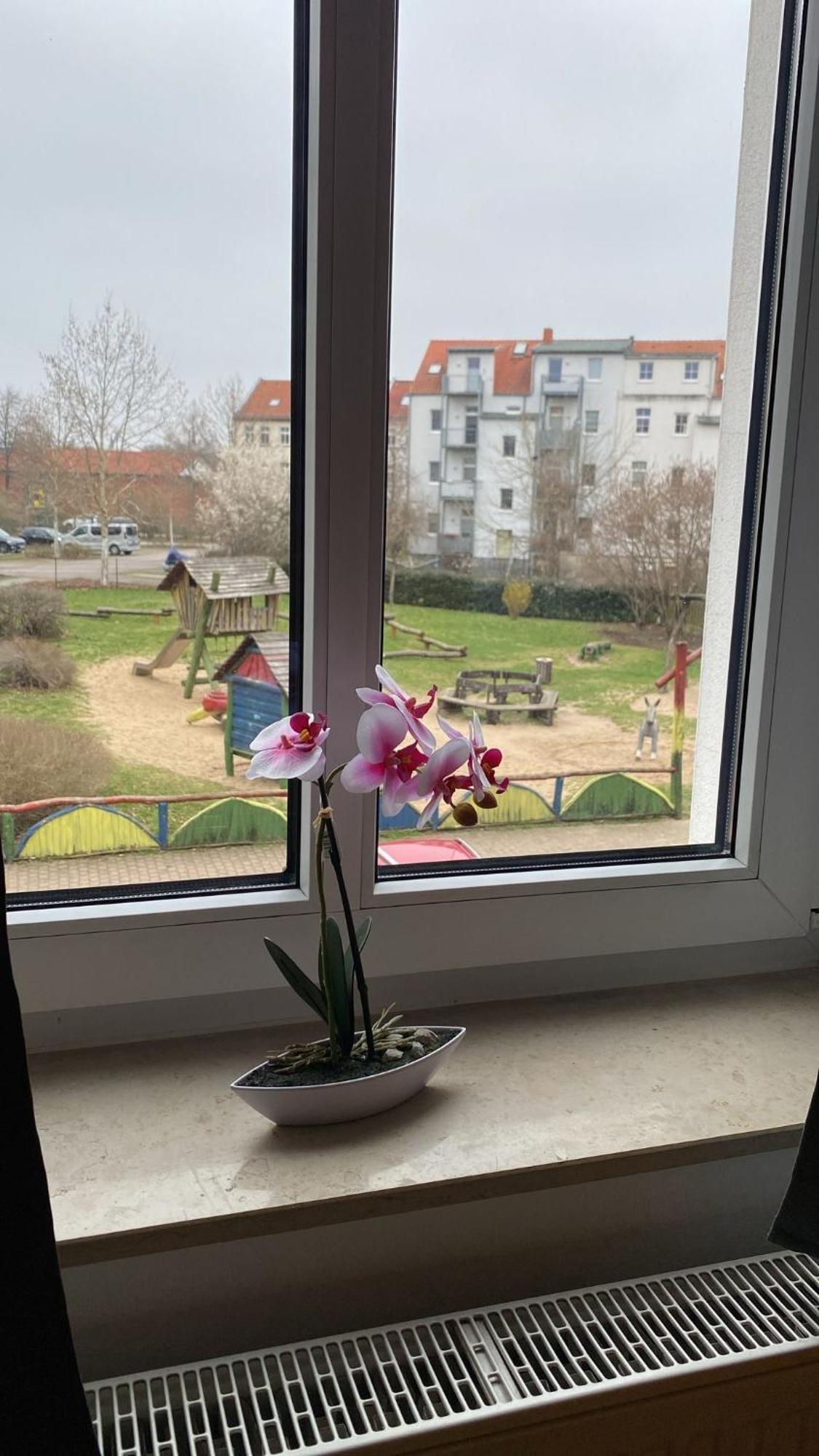 Fewo "Franzi" 5 Personen, Zentrale Lage, Parkplatz Dessau-Rosslau Esterno foto